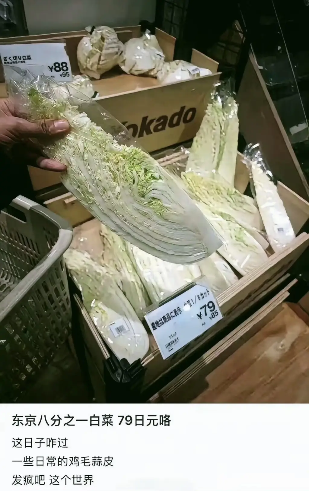 八分之一白菜🥬-百货之家