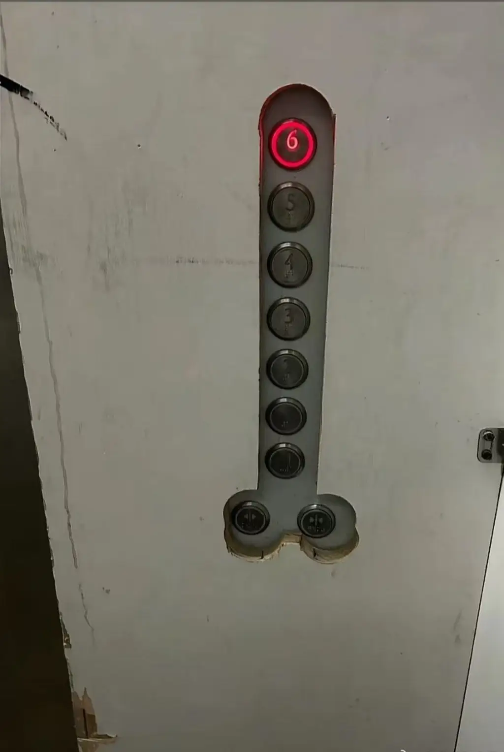 仿生学（doge）-百货之家