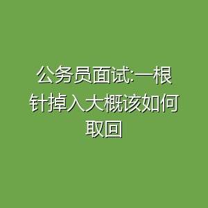 公务员面试:一根针掉入大海该如何取回？-百货之家
