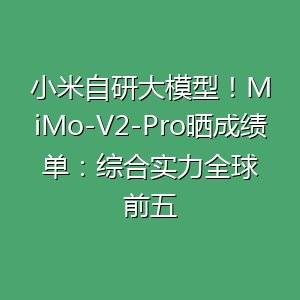 小米一出手就是全球前五-百货之家