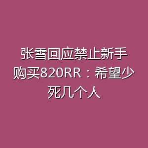 禁止驾龄一年以内新手购买820RR-百货之家