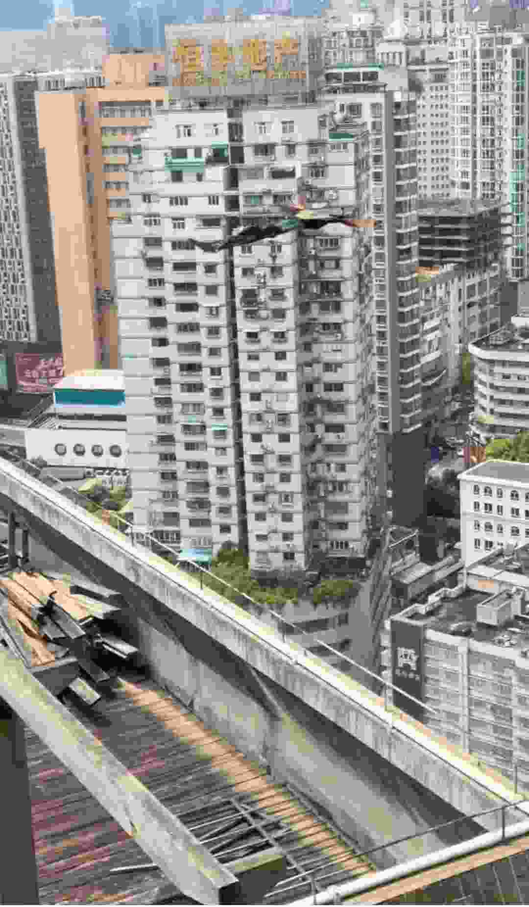 我一直以为孔雀不会飞。。。-百货之家